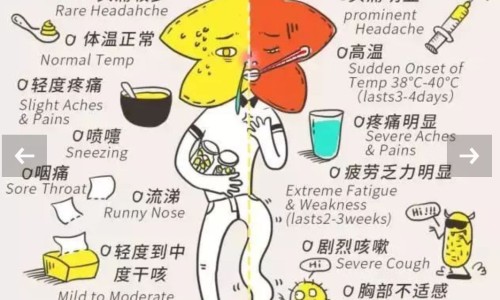 金嗓子药-金嗓子主治网 | 金嗓子真的有用吗,金嗓子效果好吗