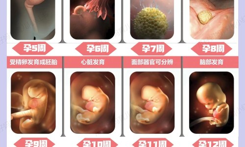 金嗓子功能主治-金嗓子主治网 | 金嗓子真的有用吗,金嗓子效果好吗